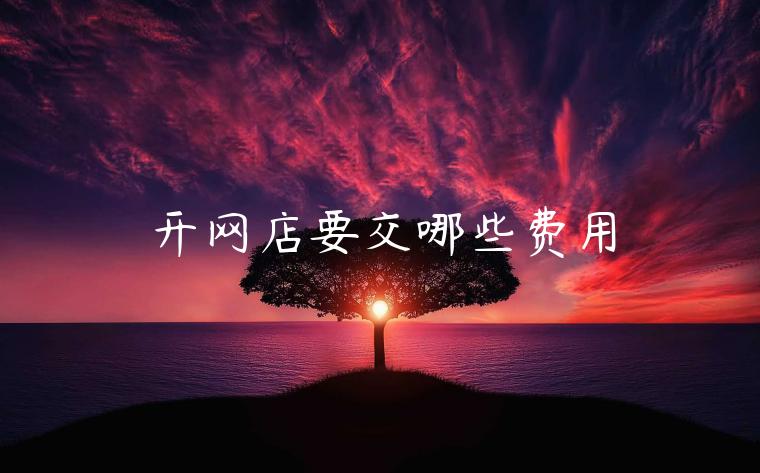 開網(wǎng)店要交哪些費用